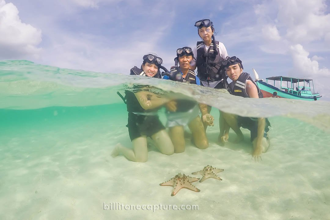 Bintang Laut Pulau Pasir belitung